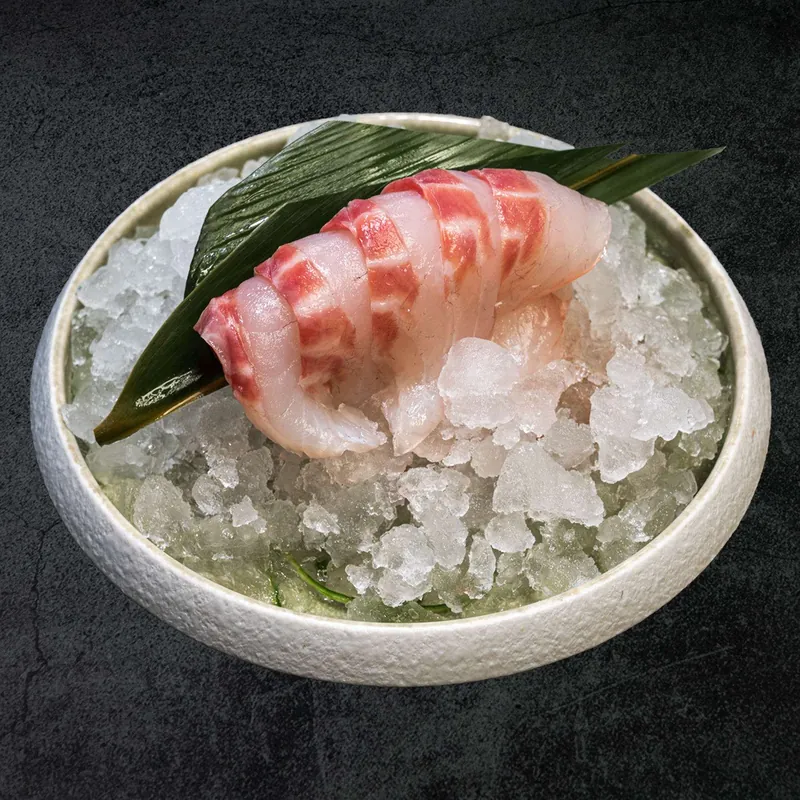 HAMACHI SASHIMI